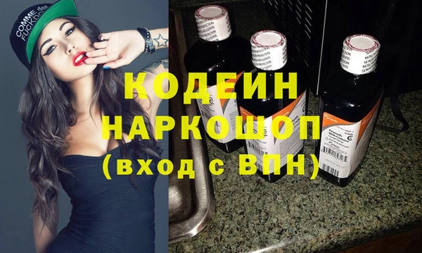 хмурый Аркадак