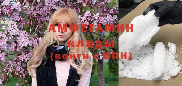 хмурый Аркадак