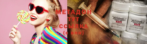хмурый Аркадак