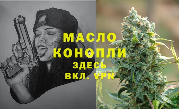 хмурый Аркадак
