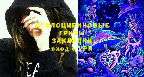 хмурый Аркадак