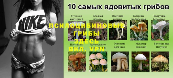 амфетамин Арсеньев