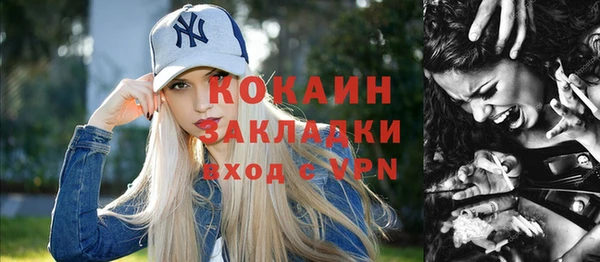 хмурый Аркадак