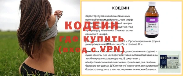 хмурый Аркадак