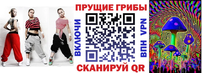 Галлюциногенные грибы Psilocybe  Собинка 